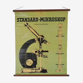 Wall Chart by Zeiss Winkel Standard-Mikroskope, 1940s