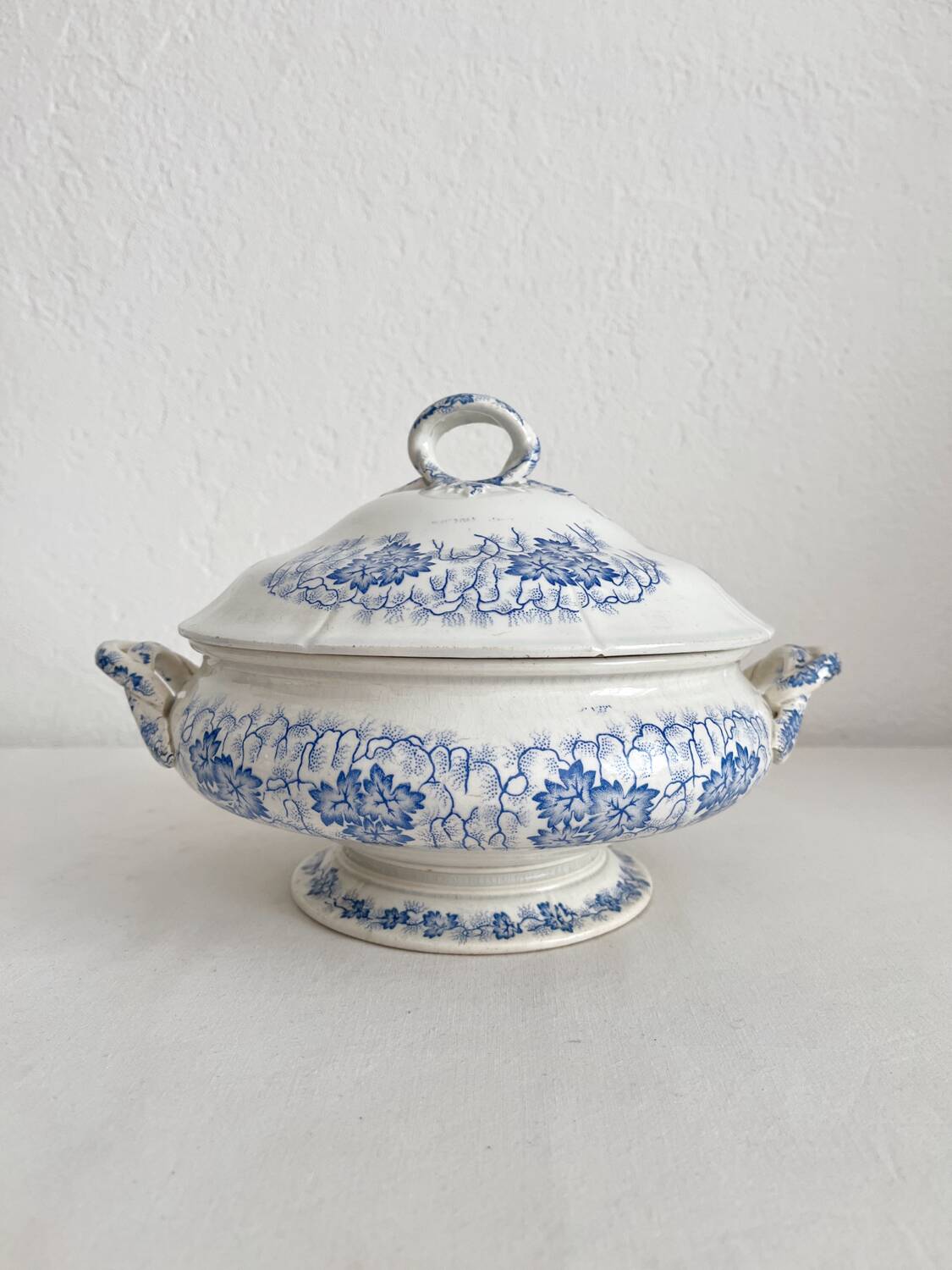 Antique ironstone tureen “Flora Lichen” Creil and Montereau