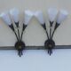 Pair of arum sconces edition Lunel Paris 50s
