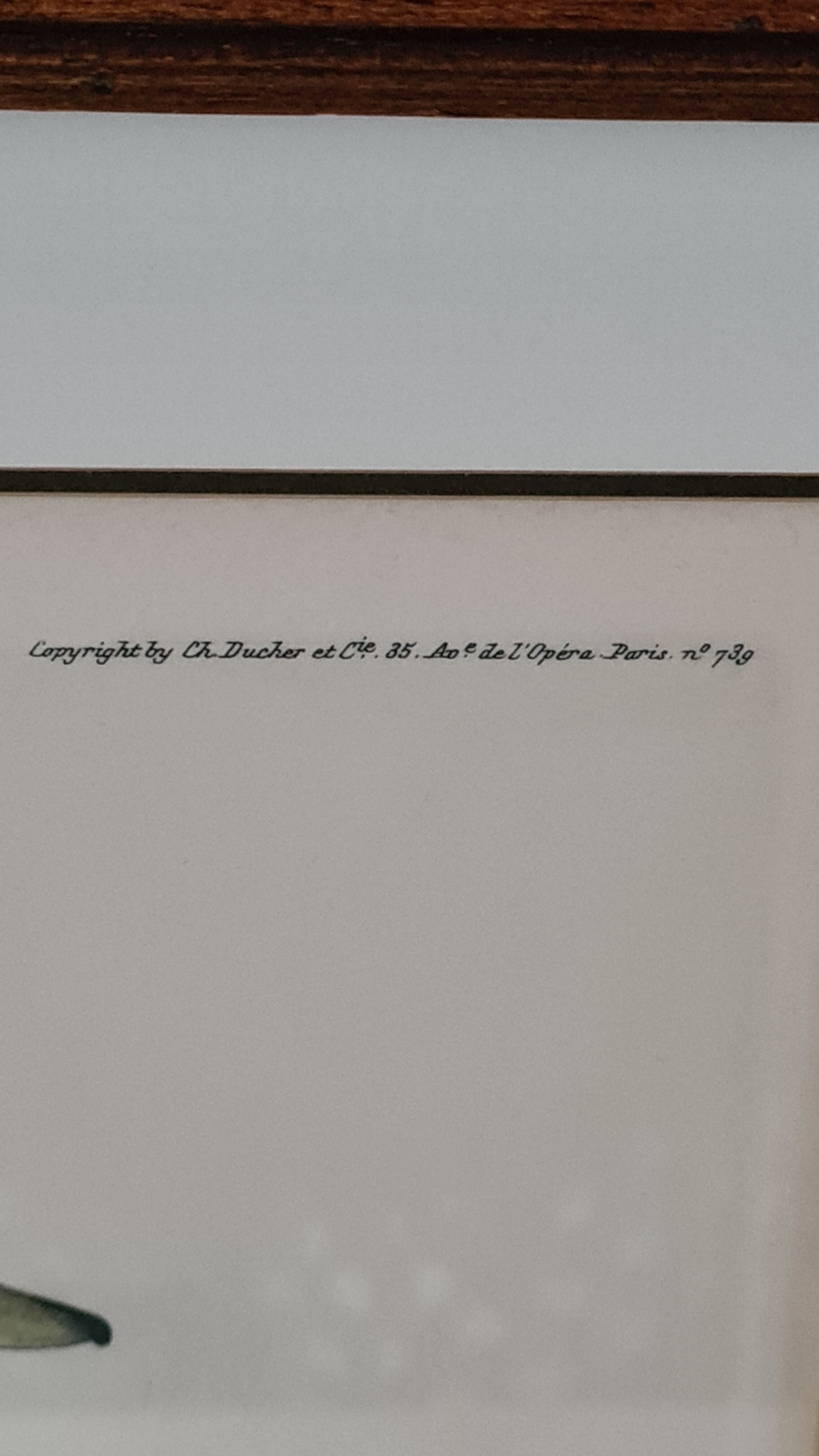 Reproduction lithograph duck Brial
