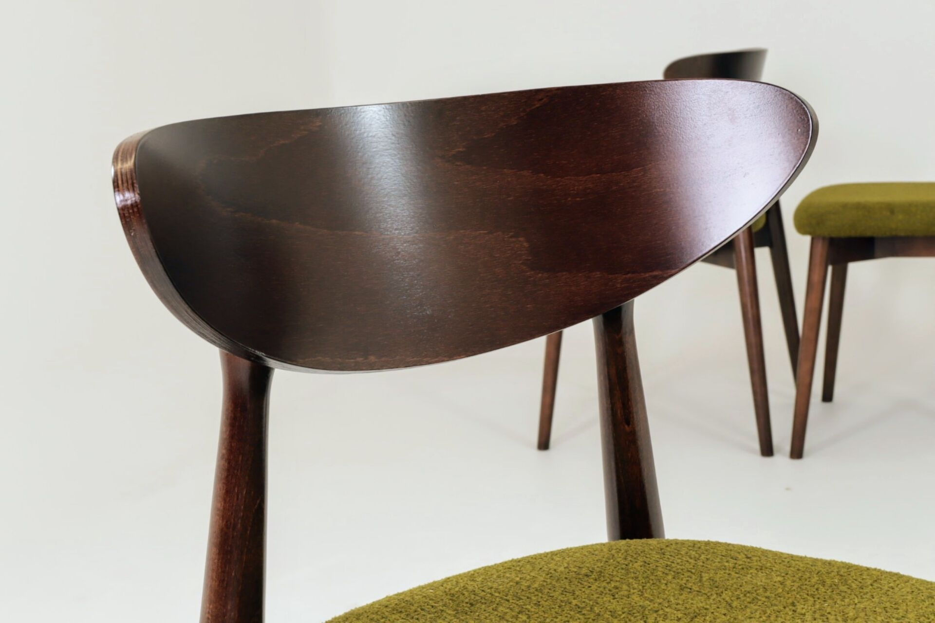 Chaises de salle à manger moderne design vert sauvage