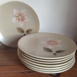 8 dessert plates