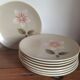 8 dessert plates
