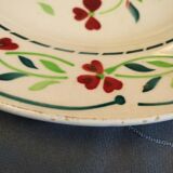 Flat plate digouin series Gigi