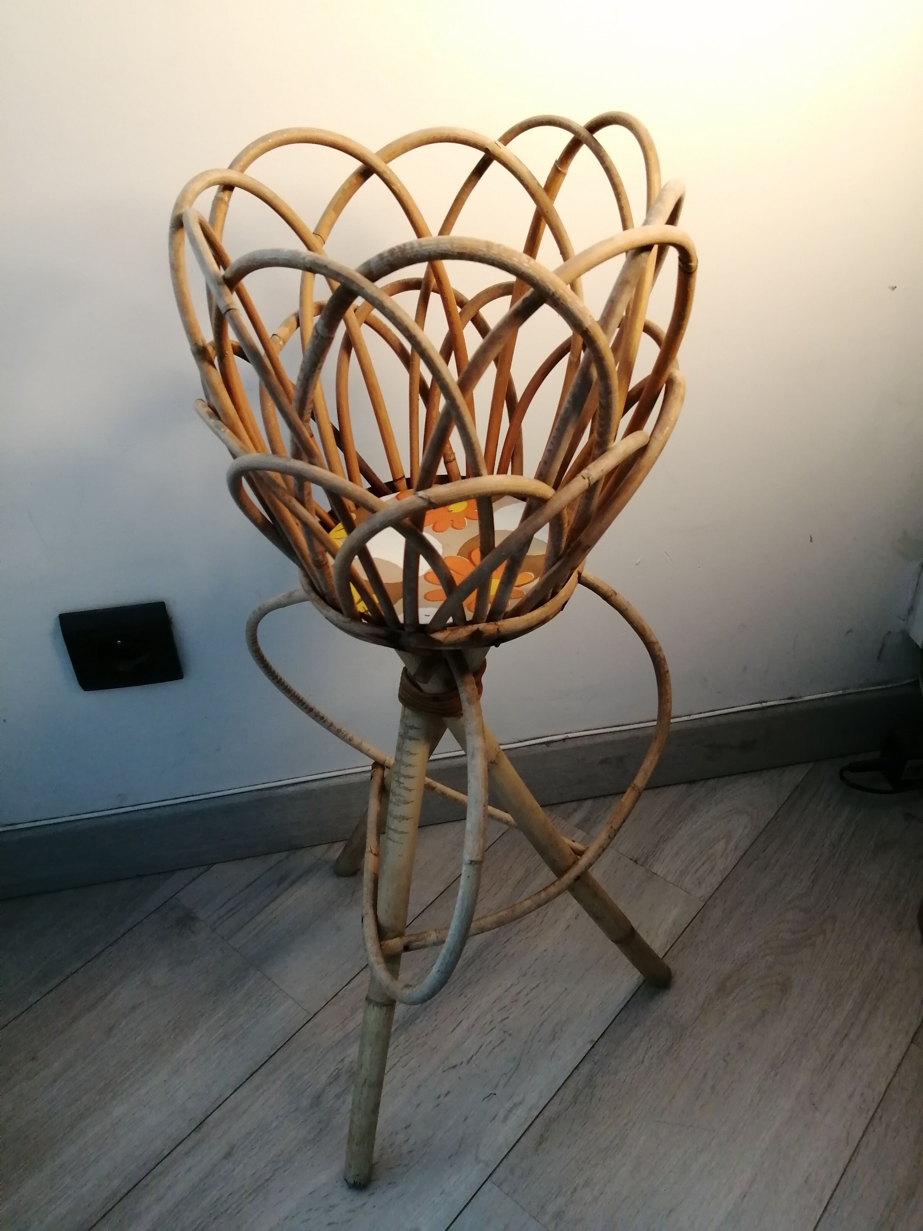 Door rattan plant 60s