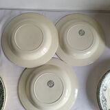 11 Deep Plates Ironstone Salins Cambacérès Decor