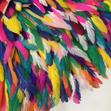 Multicolored Jujuhat 60 cm