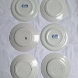 Vintage blue dinner plates