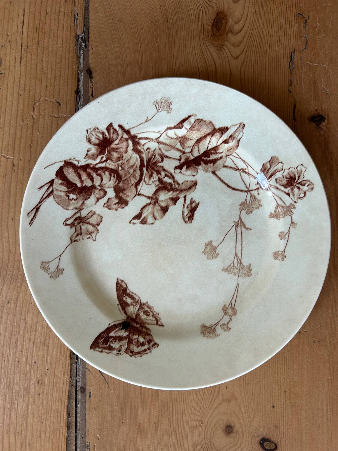 Mismatched set of 6 old flat plates
