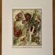 Illustrated plate on arboreal mammals (cats, monkeys, lemurs) – 1950
