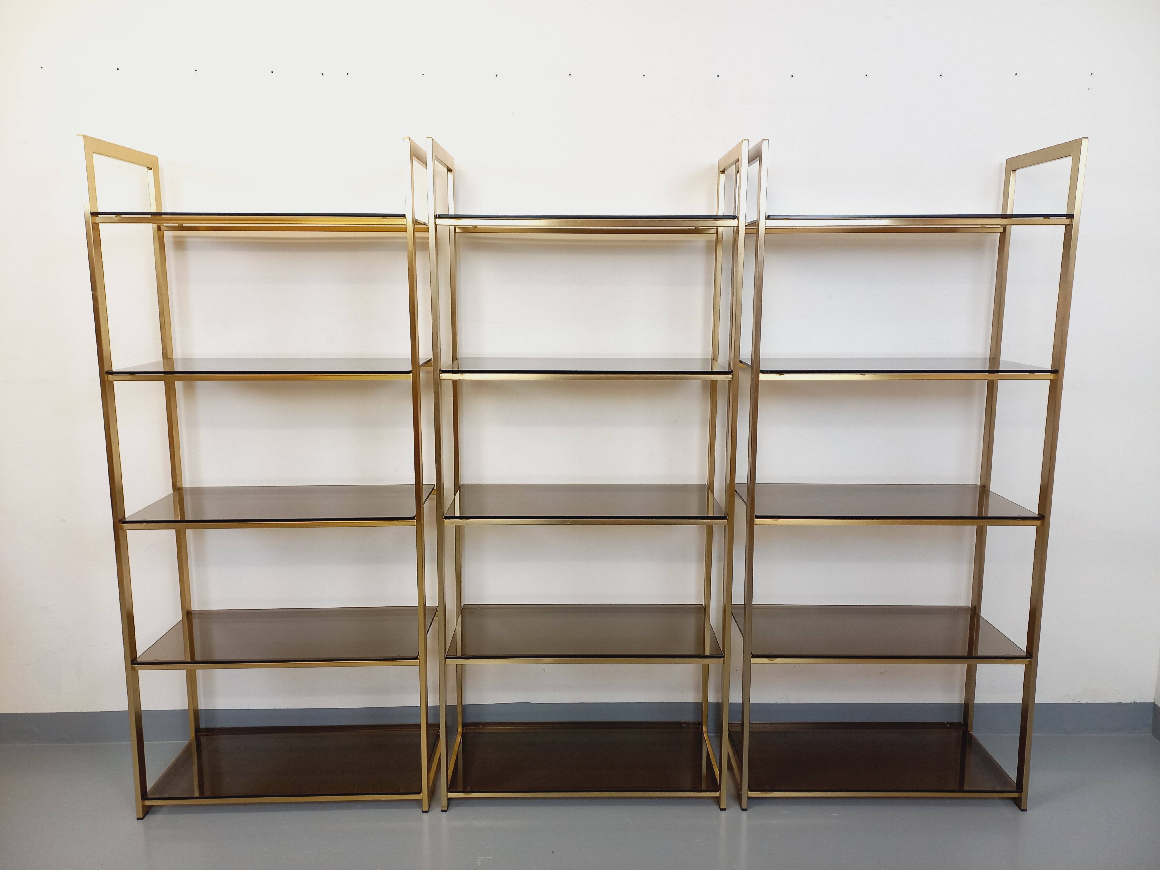 Artelano vintage bookcase shelves in gold metal smoked glass from the 70s