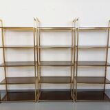 Artelano vintage bookcase shelves in gold metal smoked glass from the 70s