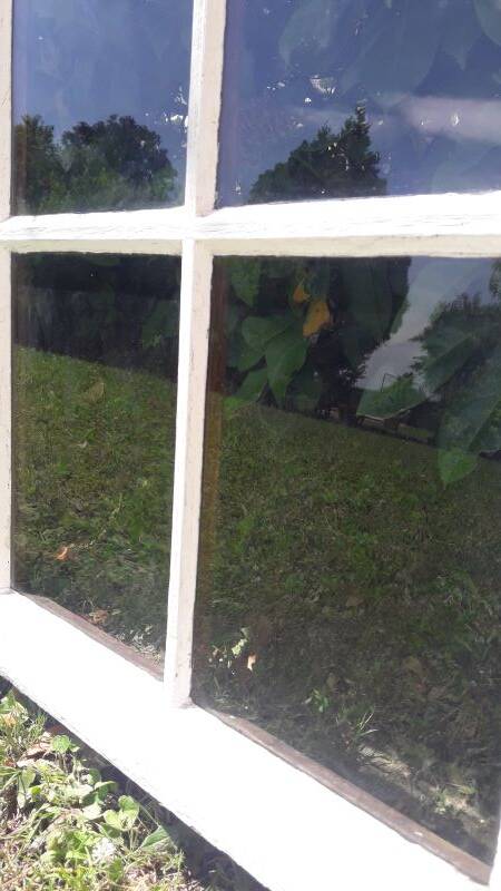 Lot of 4 oak windows H141xL112/117cm old small panes