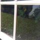 Lot of 4 oak windows H141xL112/117cm old small panes