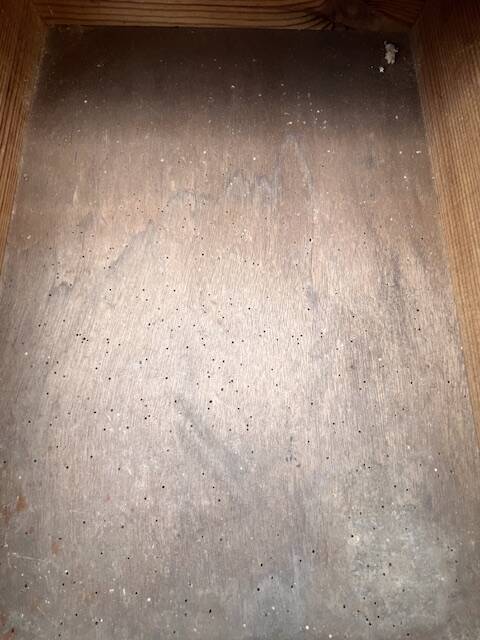 Cabinet - 4 drawer trade furniture with shell handles