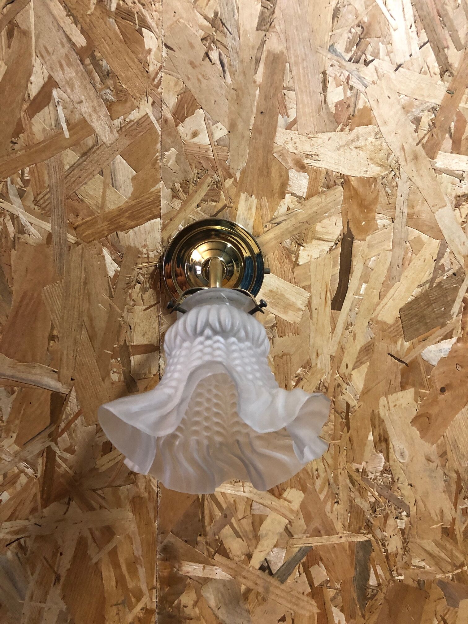 Tulip wall lamp sandblasted glass