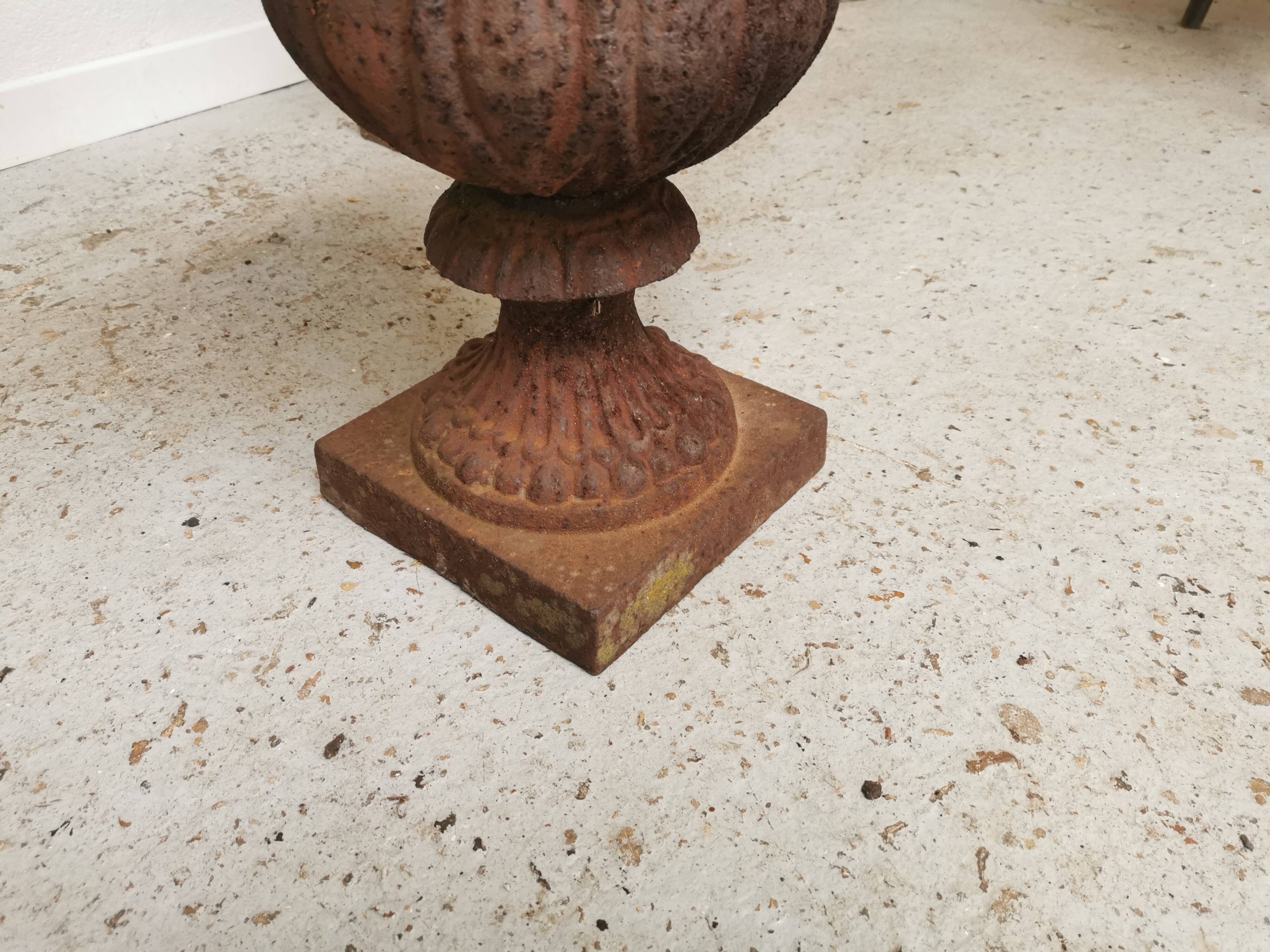 Paire de vase Médicis en fonte 50cm