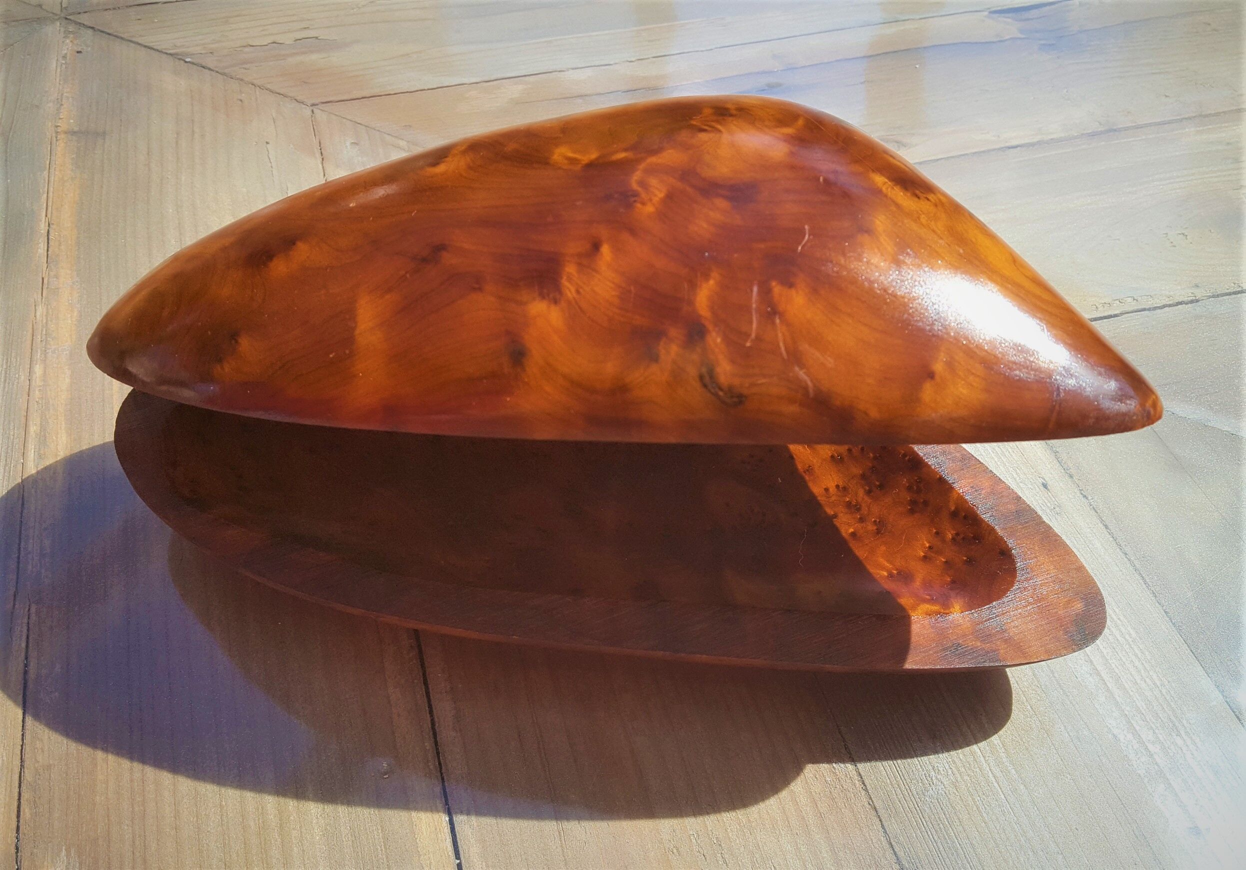 Boîte en loupe de noyer en forme de coquille