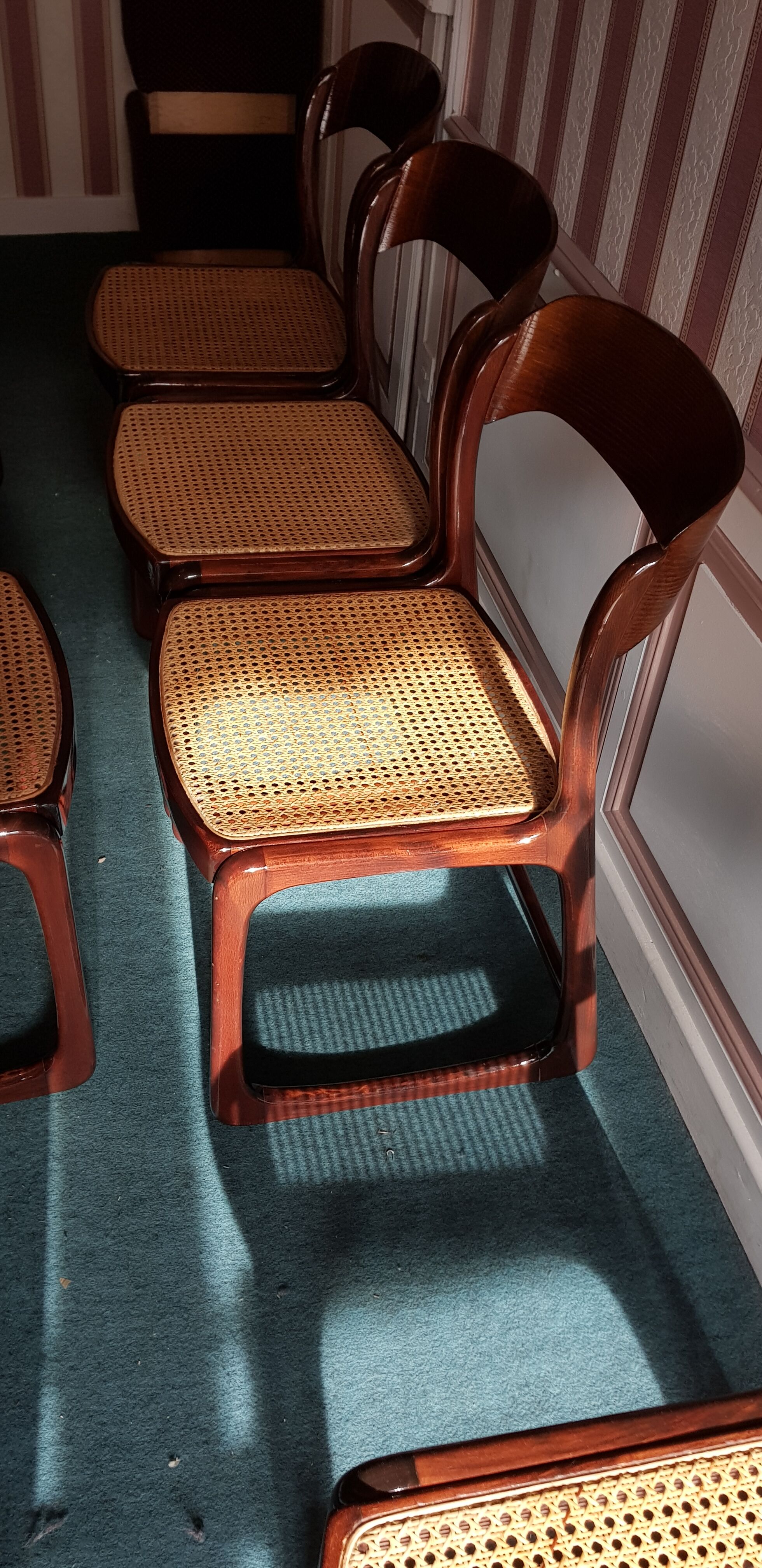 Suite of 6 chairs sleigh Baumann vintage redone