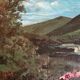 Eugène Mannessier - École de Paris - Paysage Montagne en été - Huile s