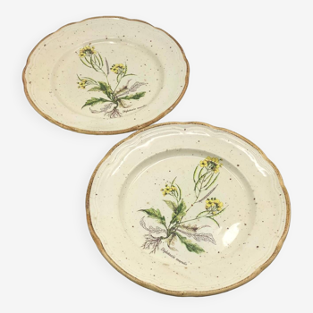 Duo d'assiettes plates italiennes