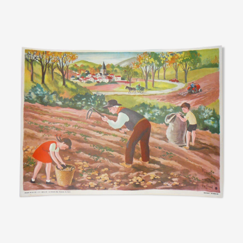 school map of editions stuffing series 23 potato harvest