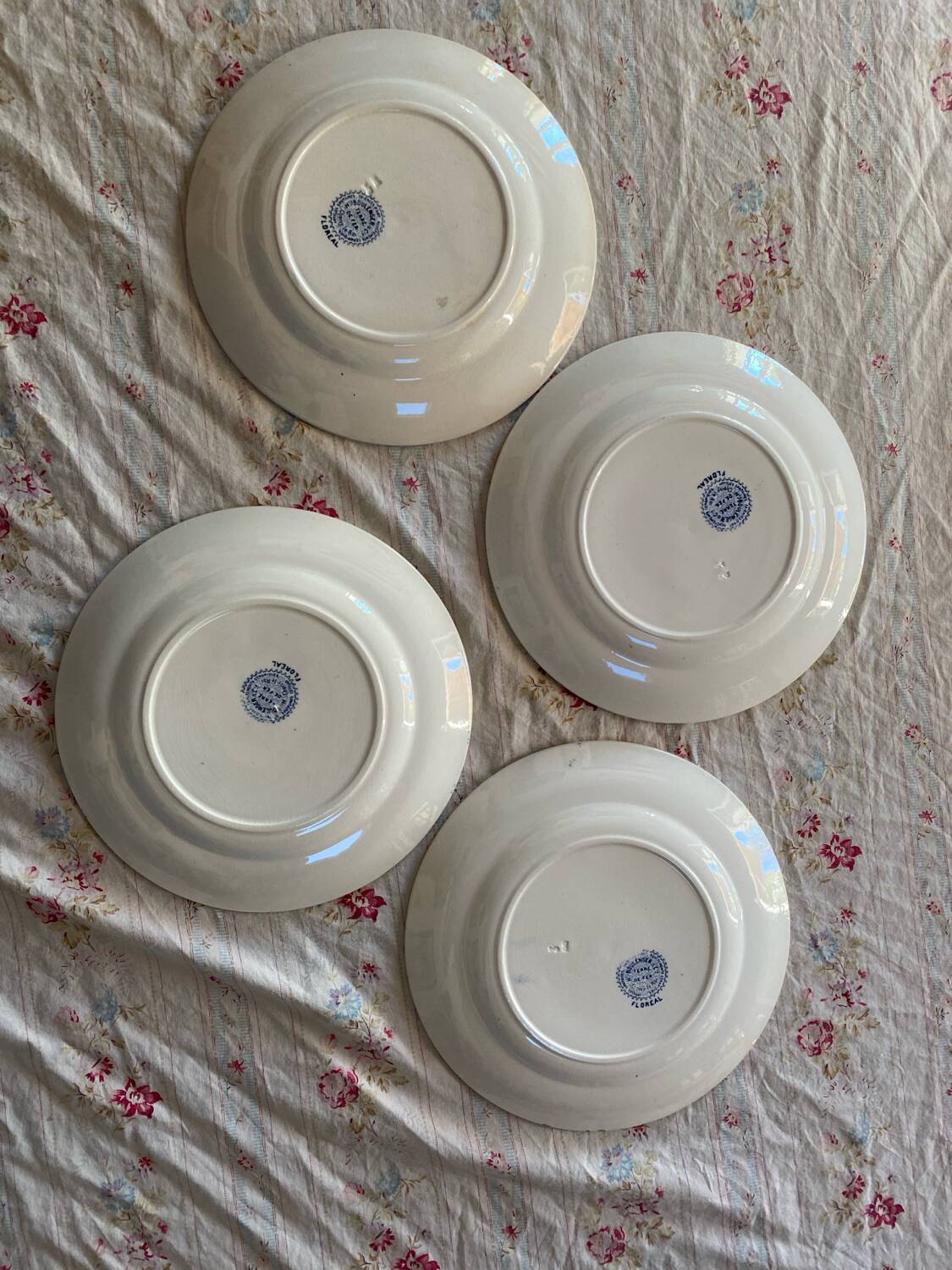 Set of 4 flat ironstone plates by Hippolyte Boulenger