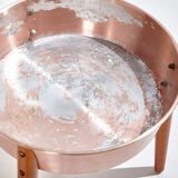 Aluminum plant holder on beech legs