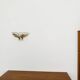 Set of 2 Smoked Glass Wall Lamps by J.T. Kalmar