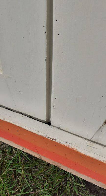 Pair of 19th-century cupboard doors and their frame (1st), woodwork