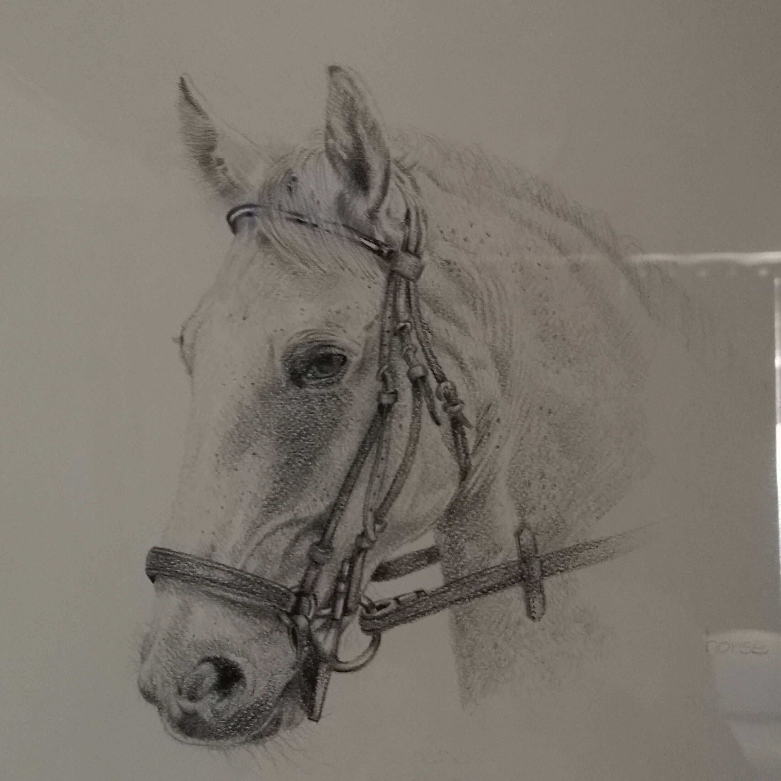 Pencil wash drawing on vellum horse painting signature to identify framed signed and dated
