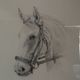 Pencil wash drawing on vellum horse painting signature to identify framed signed and dated