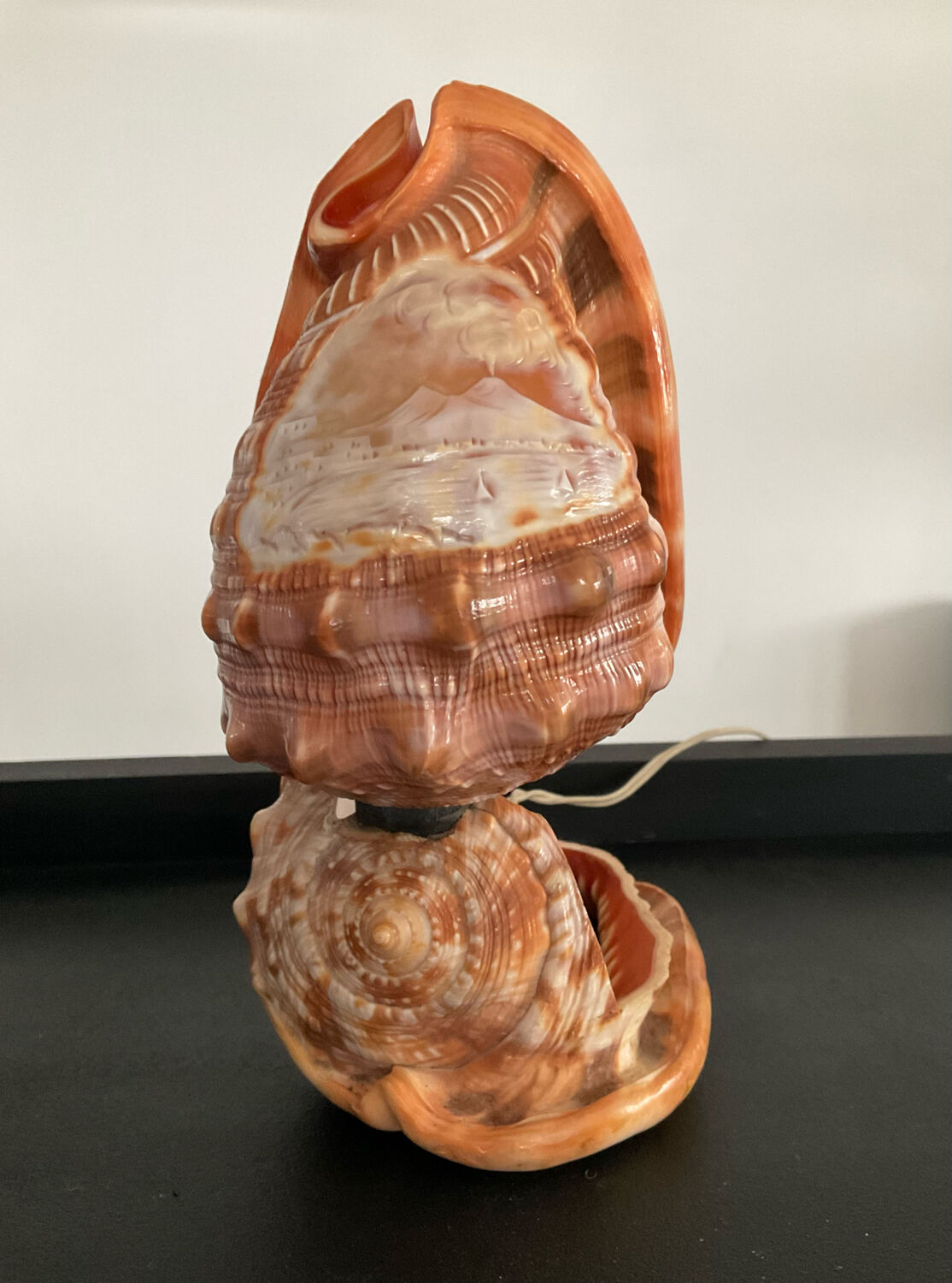 Vintage shell lamp from the 50s-60s