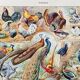 Illustration ancienne Millot "oiseaux"