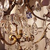 Antique Brass Chandelier with Antique Tassels and Lampshades