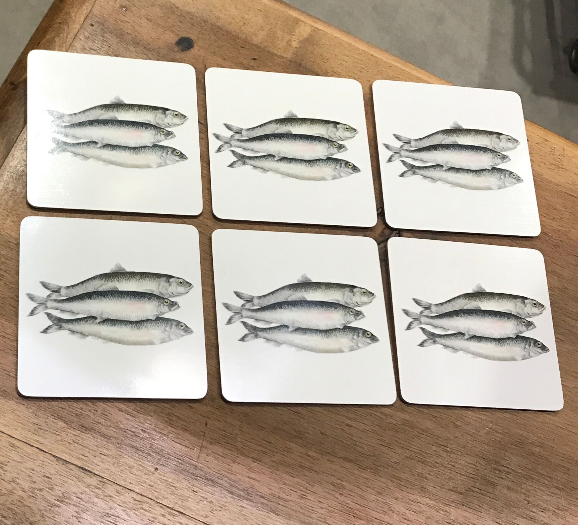 Coasters Bill Bull Bob fish