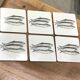 Coasters Bill Bull Bob fish