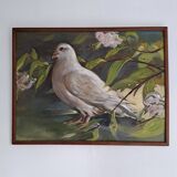 Tableau ancien huile sur bois XXÈME Colombe