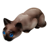 Chat siamois