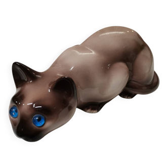 Chat siamois