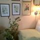 2 framed botanical posters