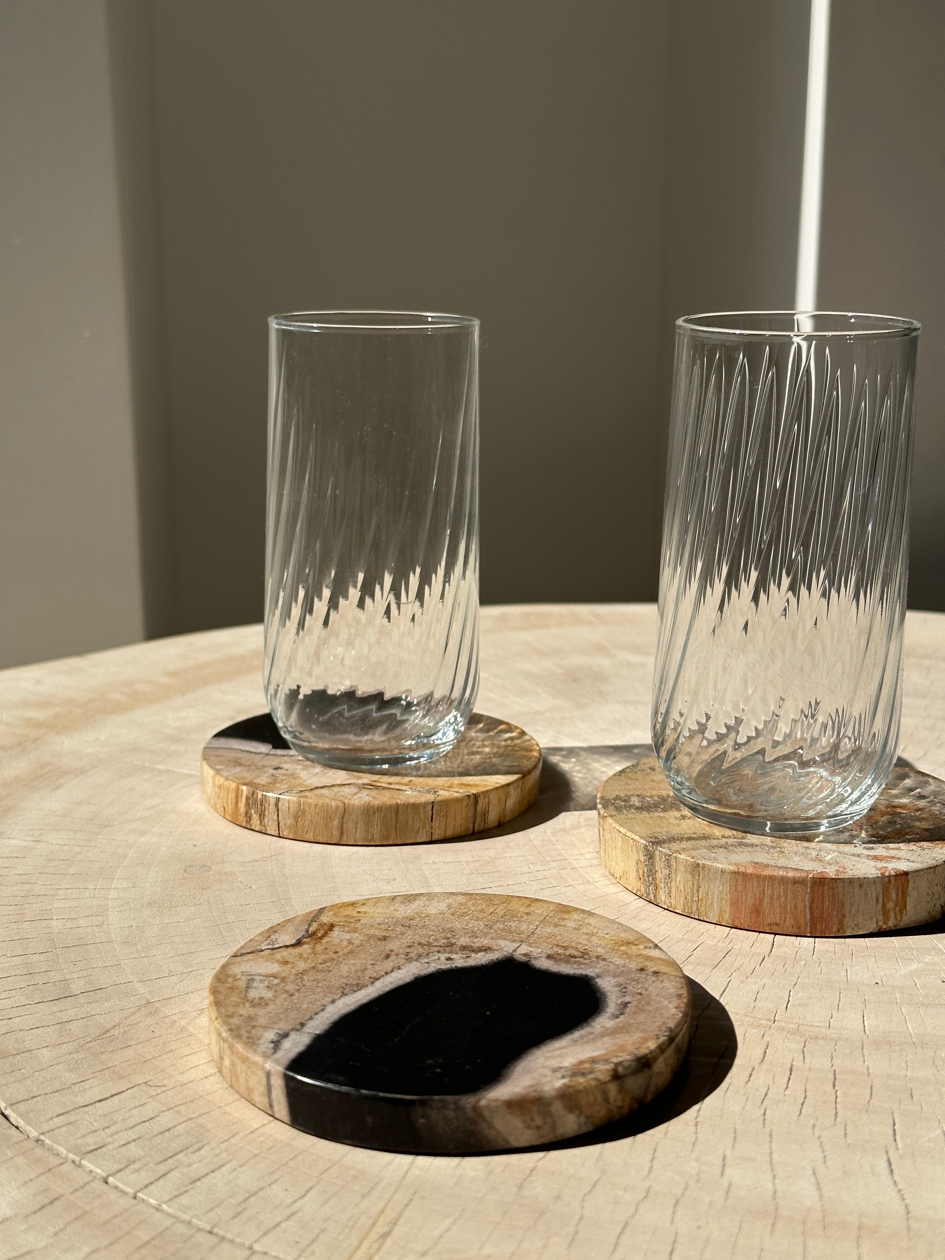 Set of 3 fossilized wooden coasters (clear)