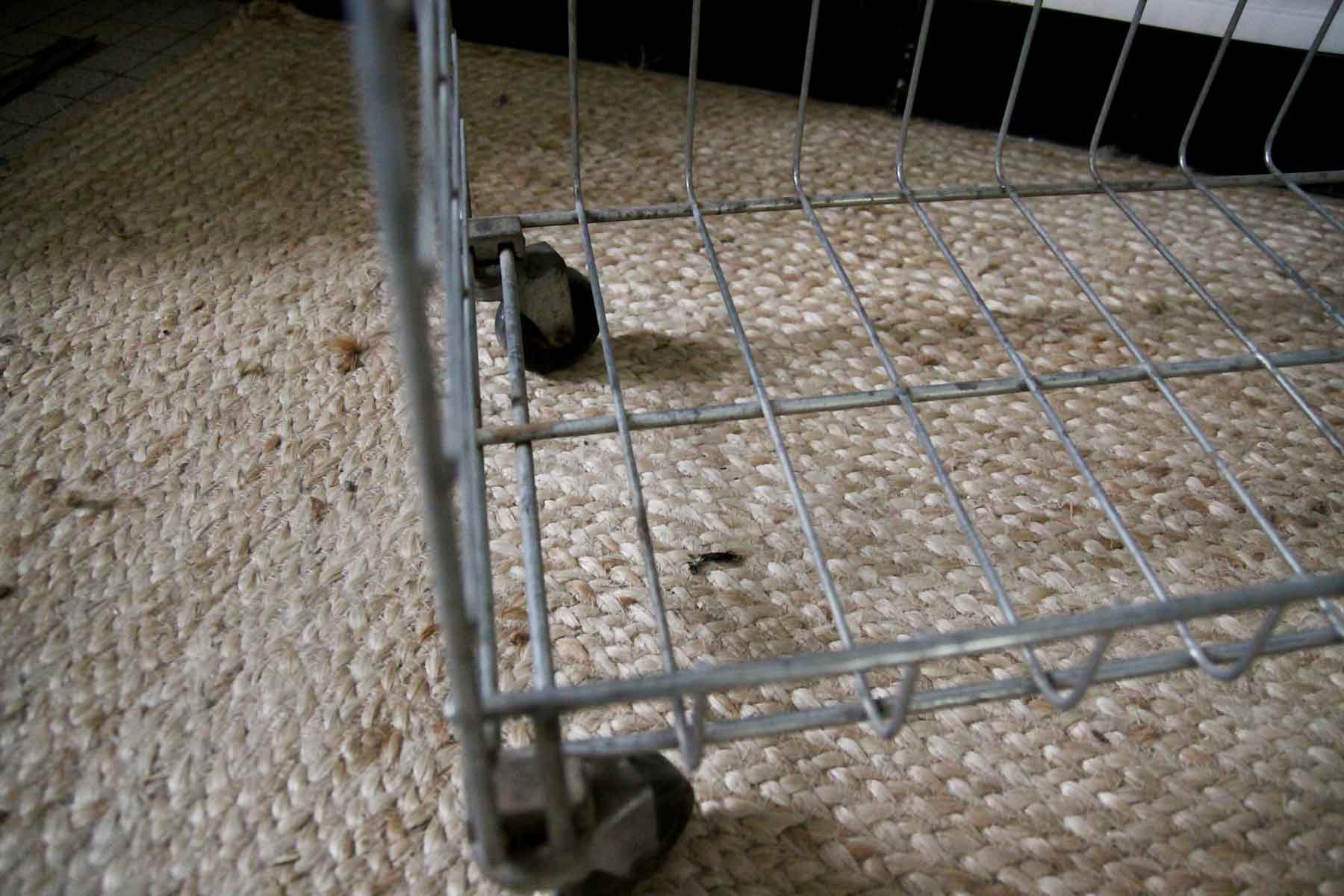 Vintage grocery shelf