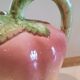 Slurry pitcher melon or peach shape