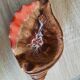 Empty shell pocket