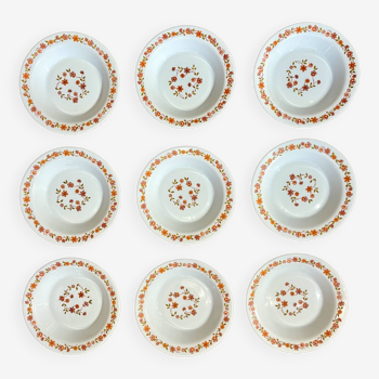 Set of 9 Arcopal orange and pink flower plates