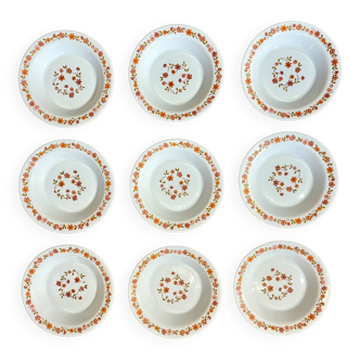 Lot de 9 assiettes à fleurs orange et rose Arcopal