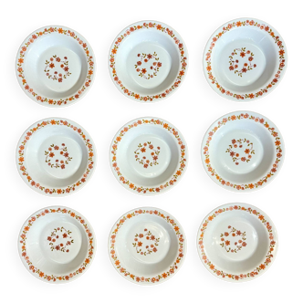 Set of 9 Arcopal orange and pink flower plates