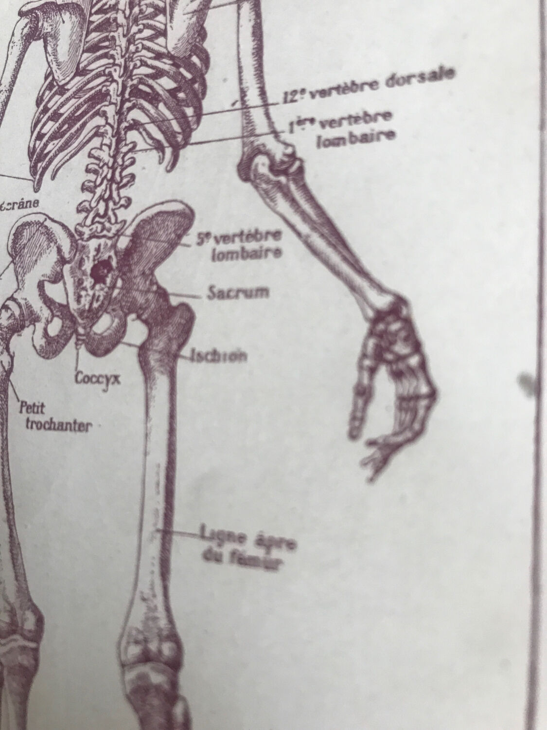 Original medicine board