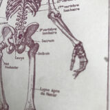 Original medicine board